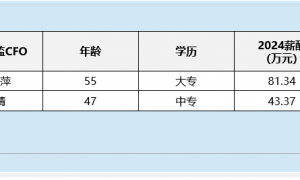 燃气行业财务总监CFO观察：国新能源毋建冰2024年薪酬为50万元较前一年涨幅约49% 公司归母净利润却下滑536%