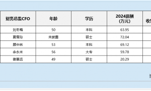 电力行业财务总监CFO观察：珈伟新能刘锡金2024年薪酬为94.8万元 然而归母净利润同比下滑1841%