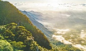 我国首批5个国家公园完成确权登记